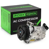 RIDEX 447K0556R Aircopomp