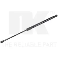 NK 11039002 Gasveer achterklep