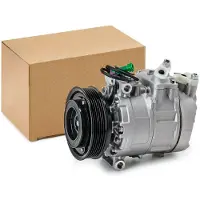 RIDEX 447K0819 Aircopomp
