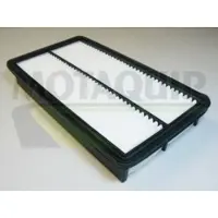 MOTAQUIP VFA1054 Luchtfilter