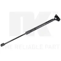 NK 11030003 Gasveer achterklep