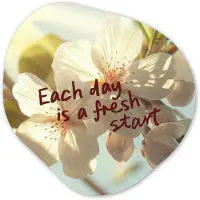 MuchoWow Organische wanddecoratie 60x60 cm - Organisch schilderij Bloesems - Zonlicht - Quote - Wit - Muurdecoratie woonkamer - Kamer decoratie - Schilderijen - Muurcirkel aesthetic
