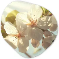 MuchoWow Organische wanddecoratie 60x60 cm - Organisch schilderij Bloesems - Wit - Zonnestralen - Bloemblaadjes - Muurdecoratie woonkamer - Kamer decoratie - Schilderijen - Muurcirkel aesthetic