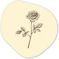 MuchoWow Organische wanddecoratie 90x90 cm - Organisch schilderij Illustratie - Zwart - Roos - Muurdecoratie woonkamer - Kamer decoratie - Schilderijen - Muurcirkel aesthetic