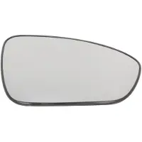 BLIC 6102-09-2503311P Spiegelglas, buitenspiegel