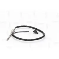 NAP carPARTS CTS10256 Sensor, uitlaatgastemperatuur