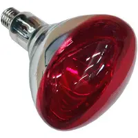 Philips Infraroodlamp met reflector - 57521025