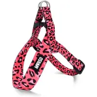 Morsø mini tuig voor hond verstelbaar gerecycled bubble leo roze 24-32x1,5 cm