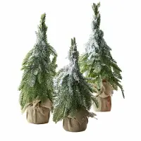 Loberon Sierboom set van 3 Selitor