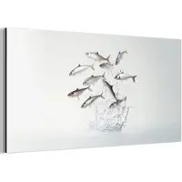 MuchoWow Aluminium schilderij 160x80 cm - Wanddecoratie metaal - Vissen - Water - Wit - Metalen muurdecoratie woonkamer - Decoratie industrieel - Foto op dibond - Industriële accessoires slaapkamer