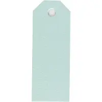 Packlinq Manilla-labels, afm 3x8 cm, 220 gr, lichtblauw, 20 stuk/ 1 doos