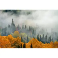 Karo-art Fotobehang Mist Over Herfstbos - Vliesbehang - 520 x 318 cm