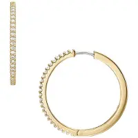 Fossil Oorbellen goud / transparant