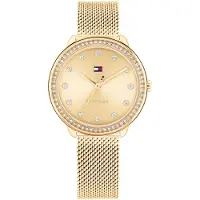 Tommy Hilfiger Analoog horloge 'DEMI' donkerblauw / goud / rood / transparant
