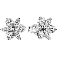 Pandora Stijlvolle Pandora 292633C01 Dames Oorbellen