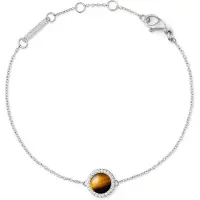 Daniel Wellington - Rvs Armband Voor Dames