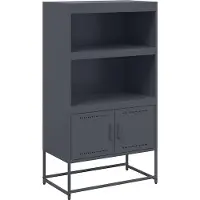 vidaXL Hoge kast, antraciet, 68,5 x 38,5 x 123,5 cm, staal
