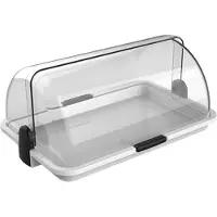 Biesse L171-01 Polybox – Buffetvitrine – Vitrine – Multifunctionele Kaas- en Brooddoos – 38 x 26 x 17cm - Kunststof – Witte bodem