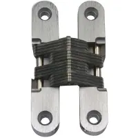 AMIG zamak verborgen scharnier met rvs veer 45x13 mm