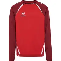 Hummel Sportief sweatshirt 'Lead 2.0' rood / donkerrood / wit