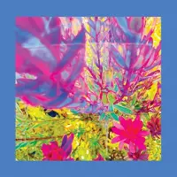 Konkurrent Pinks Reds & Purples - The Past Is A Garden I Never Fed (CD)