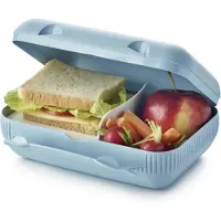 Tupperware Snackpack, broodtrommel (nieuwste kleur)