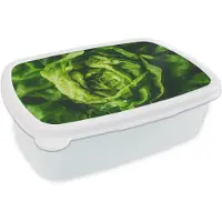 MuchoWow Broodtrommel Wit - Lunchbox Groente - Sla - Groen - Brooddoos 18x12x6 cm - Brood lunch box - Broodtrommels voor kinderen en volwassenen