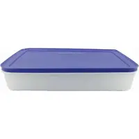 Tupperware Diepvriesbak 2.25l paars