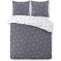 Vision Home VISION Hugo - Tweezijdig omkeerbaar Dekbedovertrekset - 100% katoen: zacht en soepel - Tweepersoons - Dekbedovertrek 200 x 200 cm met 2 bijhorende slopen - Grijs / Wit - Oekotex gecertificeerd