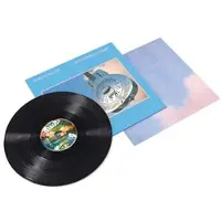 Dire Straits LP - Brothers in arms - voor Geen - standaard - Maat Standard