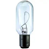 Hella 8GA 003 488-301 Gloeilamp, instrumentenverlichting