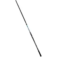 Fishing Ferrari Link Saltwater Bodemvissen Hengel