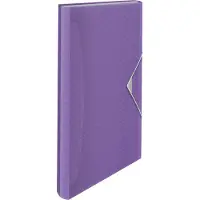 Esselte Colour'Breeze A4 Uitzetbare Projectmap - Organiser met 5 Tabbladen/6 Vakken - Lavendel
