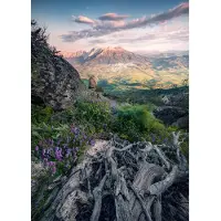 Overig Fotobehang Flowering Tales - Blauw - 2,80m X 200cm