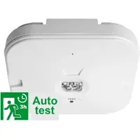 Megaman LED Noodverlichtingsarmatuur | 2.5W 6000K 130lm | IP54 Plafondopbouw | MM11047