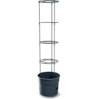 Prosperplast Tomatoes 29.5x29.5x 31.5-153 Cm Bloempot