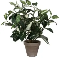 Mica Kunstplant Cordyline, hoogte 35 cm, Ø 25 cm, groen