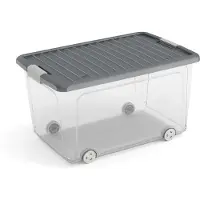 Kis W Box L - Opbergbox 50L - 56,5x39x31,5cm - Grijs