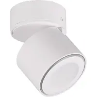 TRIO Led opbouwspot Taurus