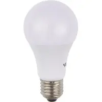 SPL LED Opaal A60x105mm, E27, Dimbaar, 810 Lumen