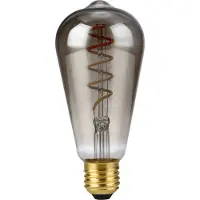 SPL E27 LED Edison Lamp | 4W 2200K 220V/240V 922 | 360° Ø64mm Dimbaar