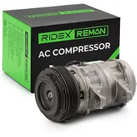 RIDEX 447K0222R Aircopomp