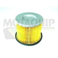 MOTAQUIP VFF202 Brandstoffilter