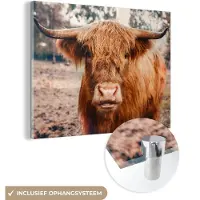MuchoWow - Glasschilderij - Schotse hooglander - Dieren - Koe - Foto op glas - Acrylglas - 160x120 cm - Glasschilderij Schotse hooglander - Glasschilderij dieren - Schilderij glas
