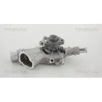 TRISCAN 8600 24019 Waterpomp