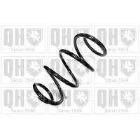 Quinton Hazell QCS5020 Chassisveer