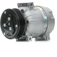Delphi TSP0155897 Aircopomp