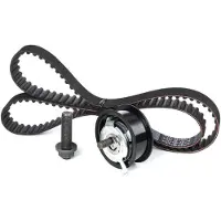 INA Distributieriemset 530016410 Ina voor o.a. AUDI, SEAT, VOLKSWAGEN
