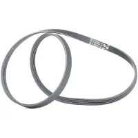 CONTITECH Multiriem 4PK1217 Contitech voor o.a. AUDI, PEUGEOT, RENAULT