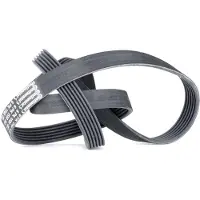 CONTITECH Multiriem 6PK1560 Contitech voor o.a. BMW, CHEVROLET, CITROEN, FORD, LAND ROVER, MG, PEUGEOT, ROVER, TOYOTA